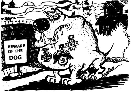Dog wearing War medals - Beware Of The Dog