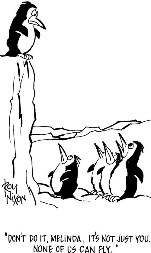 'Don't do it, Melinda, it's not just you. None of us can fly.'