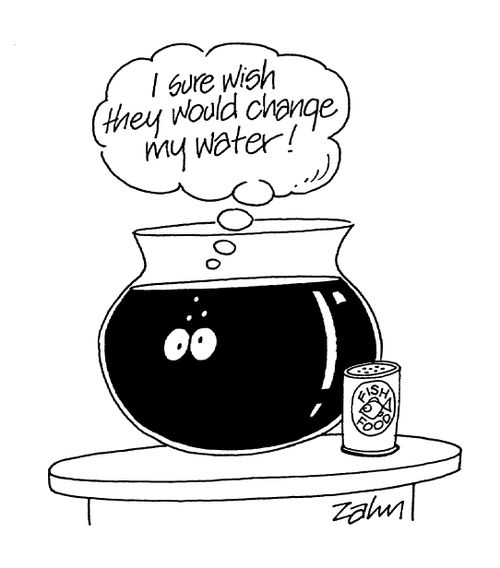 'I sure wish they would change my water!'