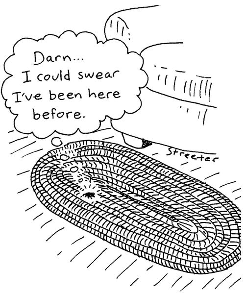 Bug lost on rug.