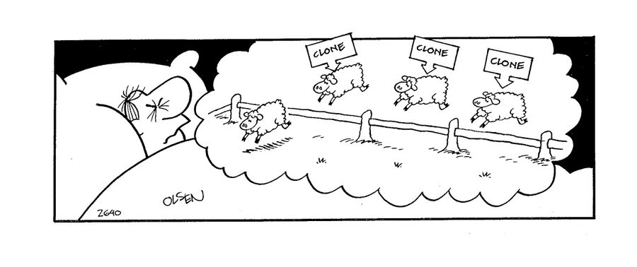 Man counts jumping cloned sheep.