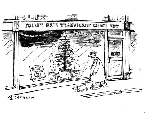 Furley hair transplant clinic - Christmas tree needles falling out in clinics window.