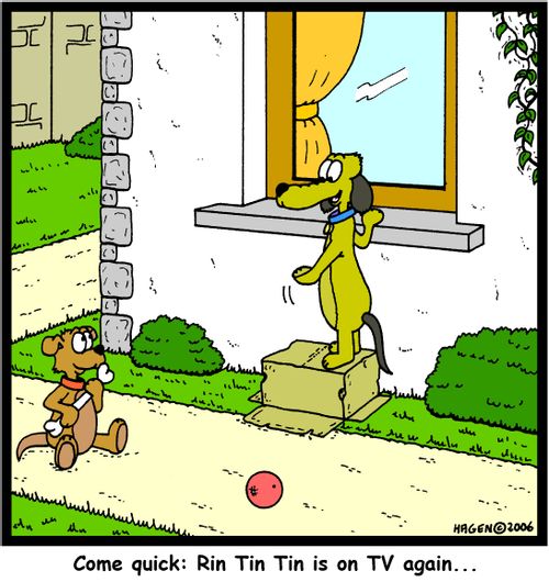 'Come quick: Rin Tin Tin is on TV again...'