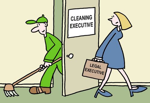 Cleaning Executive and Legal Executive
