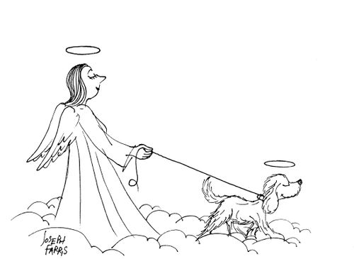 Angel with Halo walking dog with Halo.