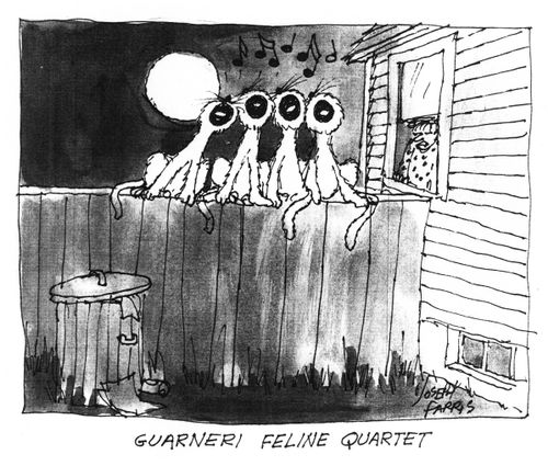 Guarneri Feline Quartet.
