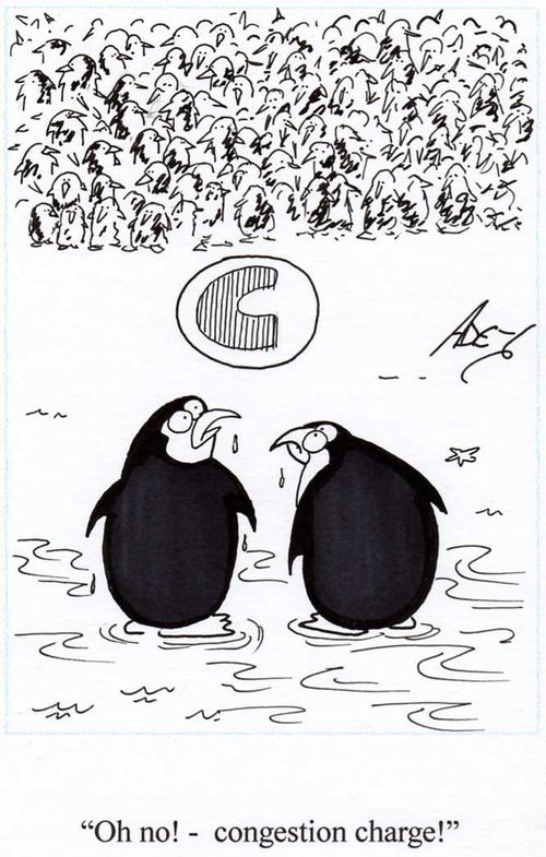 'Oh no - congestion charge!'