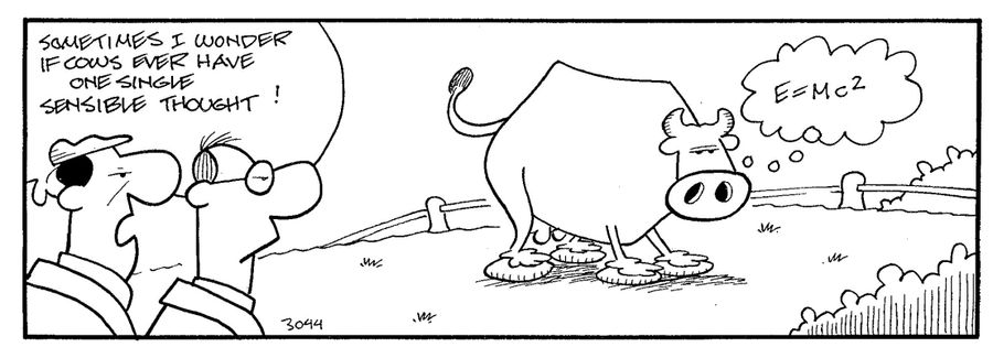 Sometimes i wonder if cows ever have one single sensible thought.