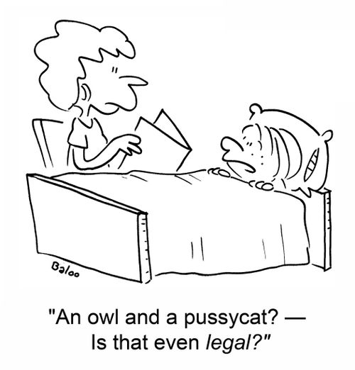 'An owl and a pussycat? -- Is that even legal?'