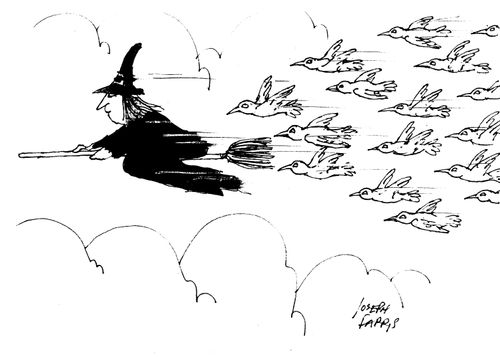 Birds Following Witch.