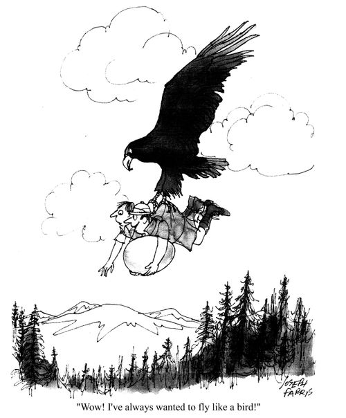 'Wow! I've always wanted to fly like a bird!'