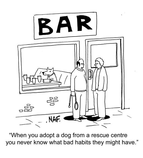 "When you adopt a dog from a rescue centre you never know what bad habits they might have."