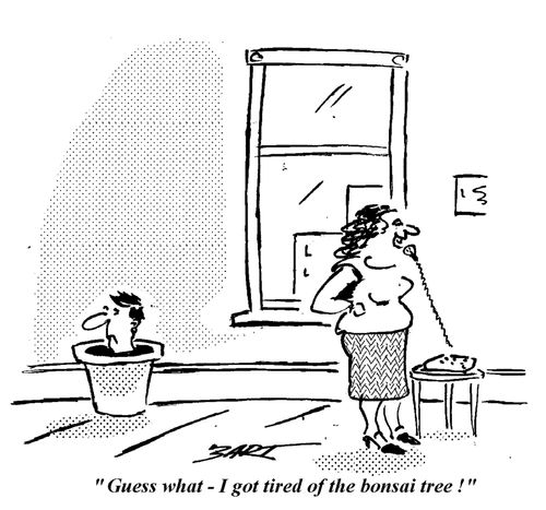 "Guess what - I got tired of the bonsai tree!"