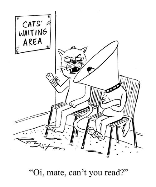 Sign at vet's says 'Cat's waiting area'. Cat says to dog with head in cone: 'Oi, mate, can't you read?'