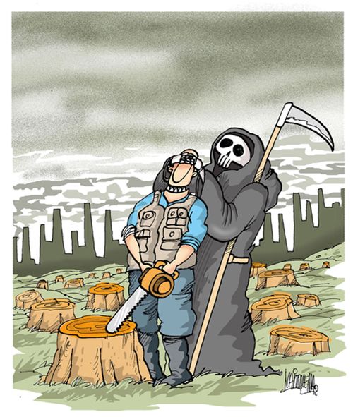 Deforestation.