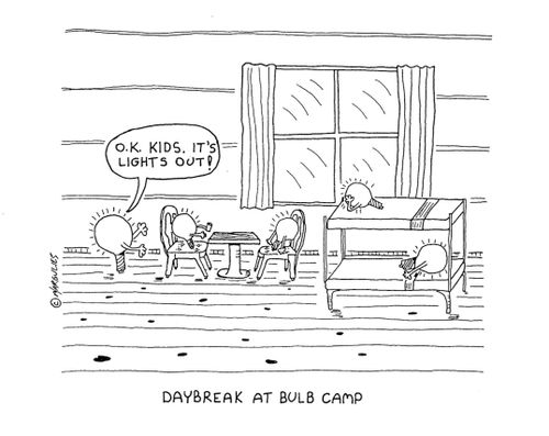 Daybreak at bulb camp