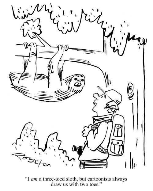'I AM a three-toed sloth, but cartoonists always draw us with two toes.'