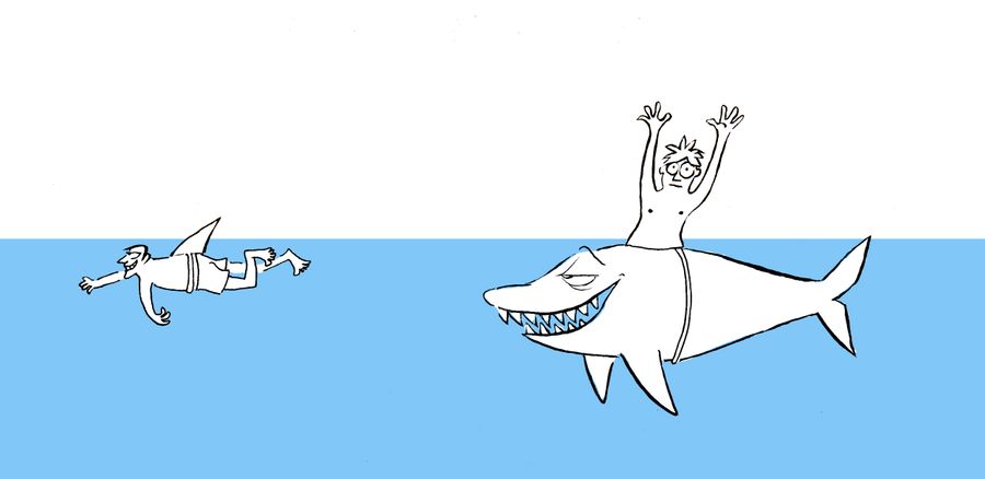 Shark Attack