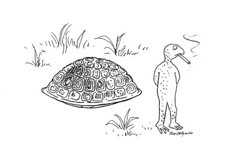 Tortoise leaves his Shell to Smoke.
