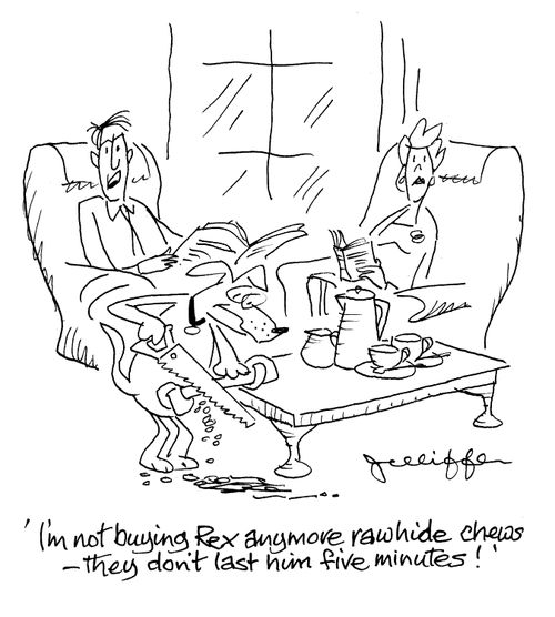 'I'm not buying Rex anymore rawhide chews - they don't last him five minutes!'
