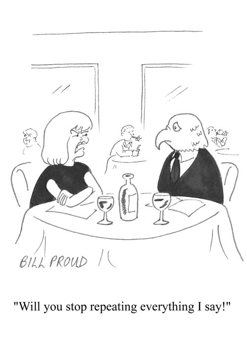'Will you stop repeating everything I say!'
