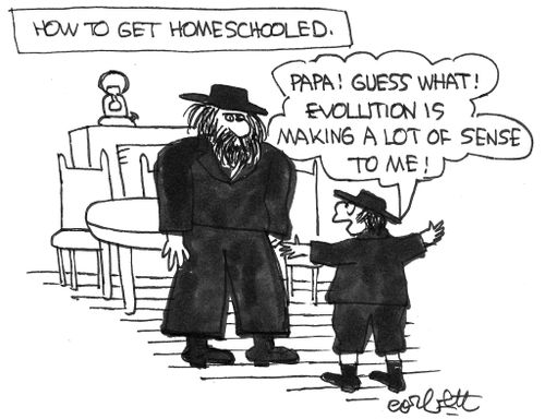 'Papa! Guess what! Evolution is making a lot of sense to me!'
