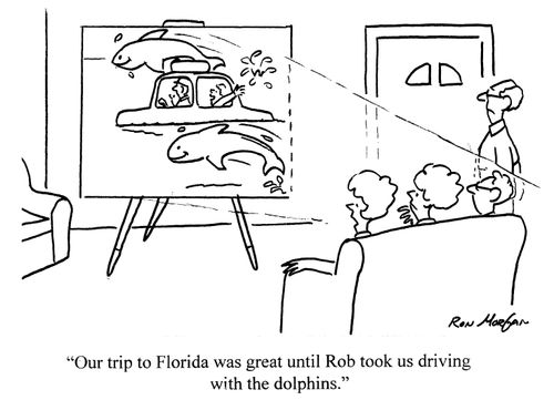 'Our trip to Florida was great until Rob took us driving with the dolphins.'