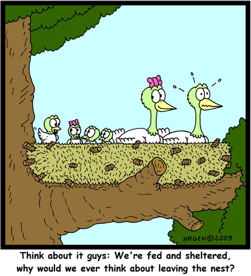 'Think about it guys: We're fed and sheltered, why would we ever think about leaving the nest?'
