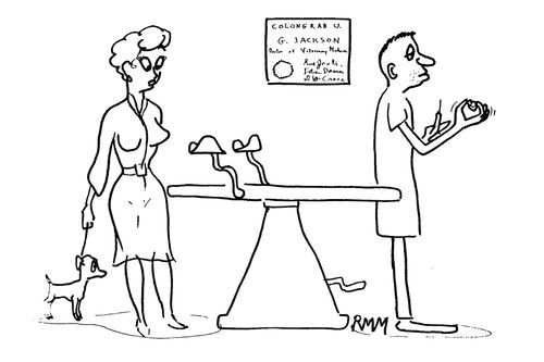 Examination.