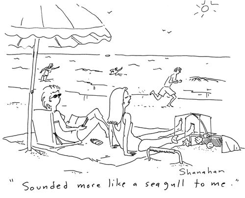 'Sounded more like a seagull to me.'