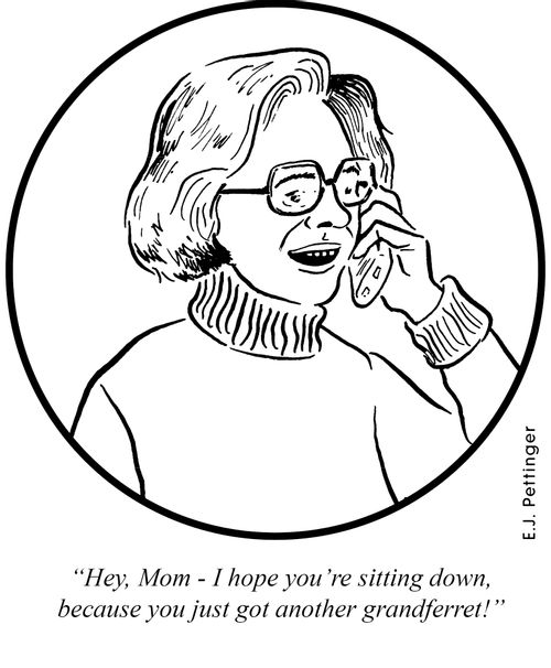 'Hey, Mom - I hope you're sitting down, because you just got another grandferret!'