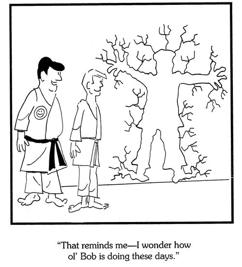 'That reminds me--I wonder how ol' Bob is doing these days.'