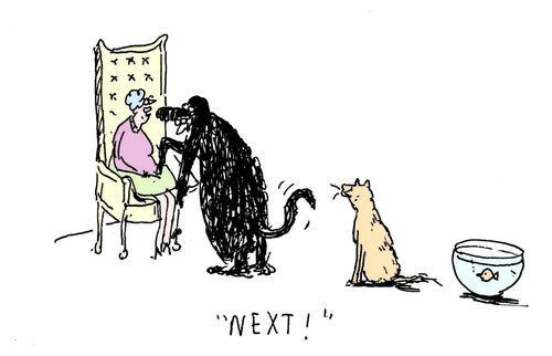 'Next!'