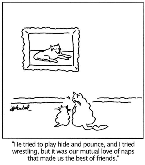 'He tried to play hide and pounce, and I tried wrestling, but it was our mutual love of naps that made us the best of friends.'