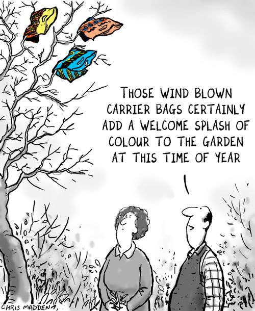 'Those wind-blown carrier bags certainly add a welcome splash of colour...'