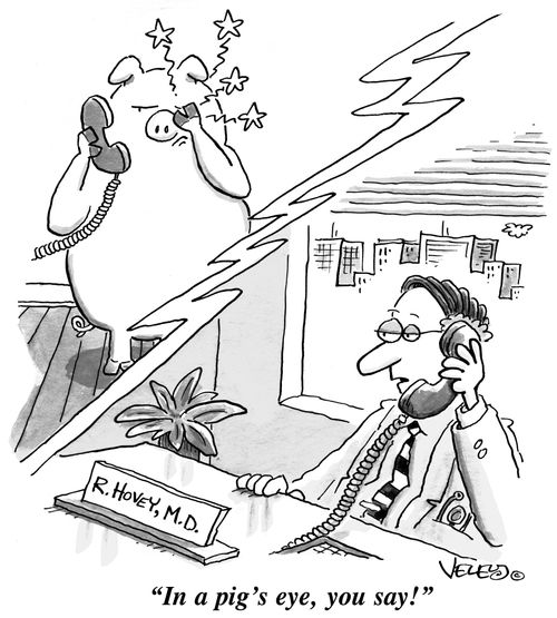 'In a pig's eye, you say!'
