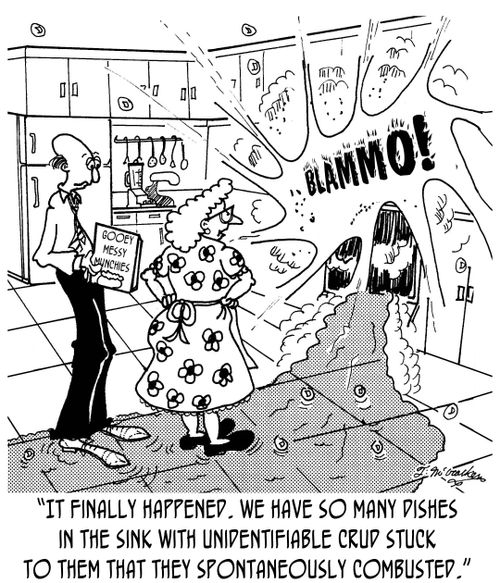 'It finally happened. We have so many dishes in the sink with unidentifiable crud stuck to them that they spontaneously combusted.'