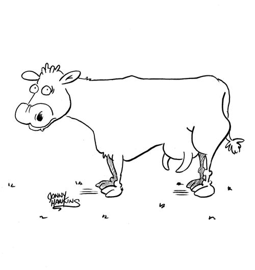 Cow with horns and teets reversed.