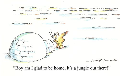 'Boy am I glad to be home, it's a jungle out there!'