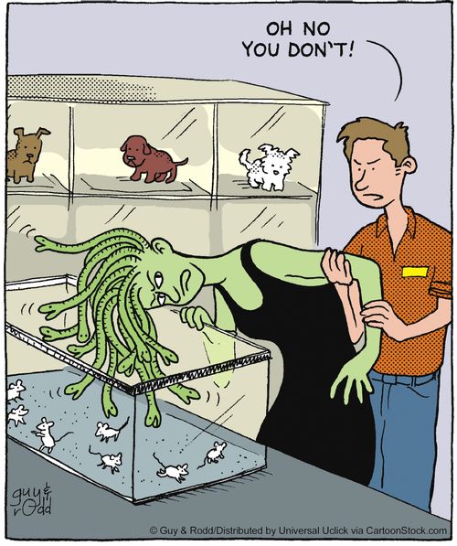 'Oh no you don't!'