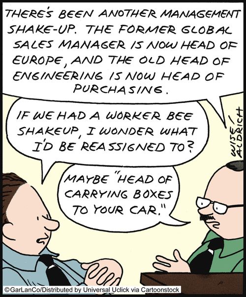 'There's been another management shake-up. The former global sales manager is now head of Europe, and the old head of engineering is now head of purchasing.'