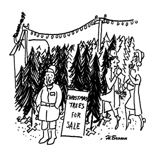 People sneaking into a Christmas tree farm.