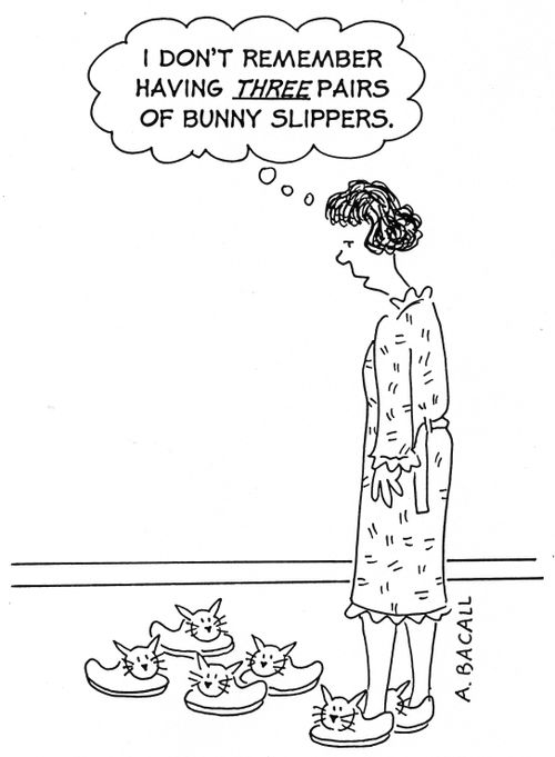 'I don't remember having three pairs of bunny slippers.'