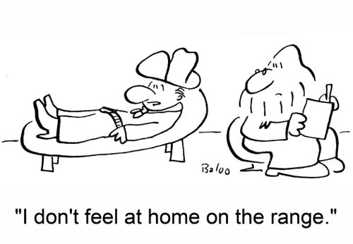 'I don't feel at home on the range.'