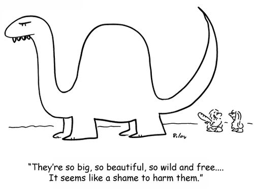 'They're so big, so beautiful, so wild and free.... It seems like a shame to harm them.'