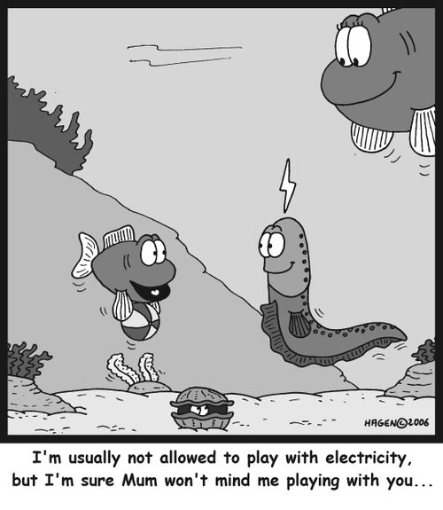 'I'm usually not allowed to play with electricity, but I'm sure Mum won't mind me playing with you...'