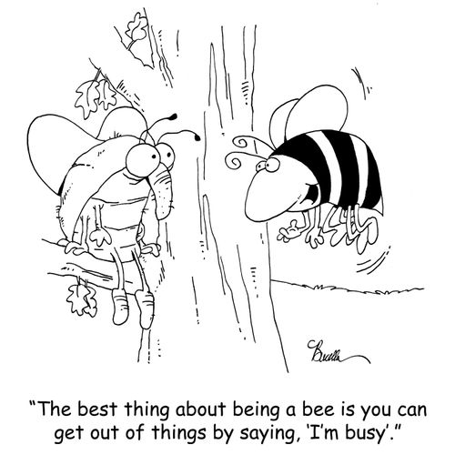 'The best thing about being a bee is you can get out of things by saying, 'I'm busy'.'