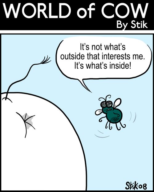 It's not what's outside that interests me. It's what's inside!