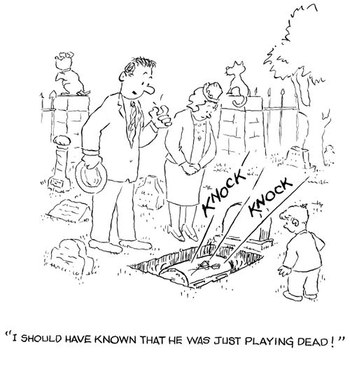 'I should have known that he was just playing dead.'