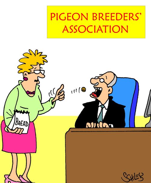 Pigeon Breeders' Association.